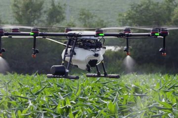 Agricultural Research